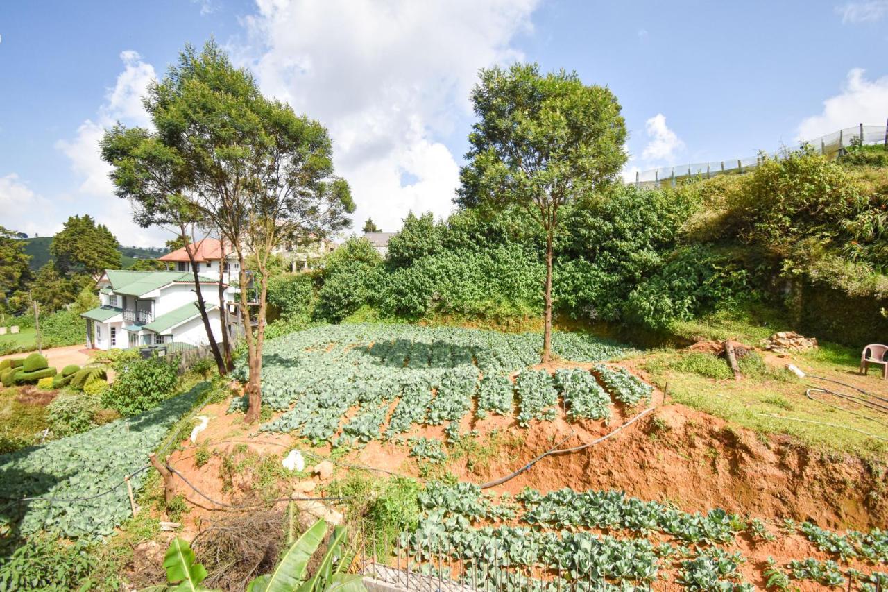 St. Anne Holiday Bunglow Nuwara Eliya Kültér fotó
