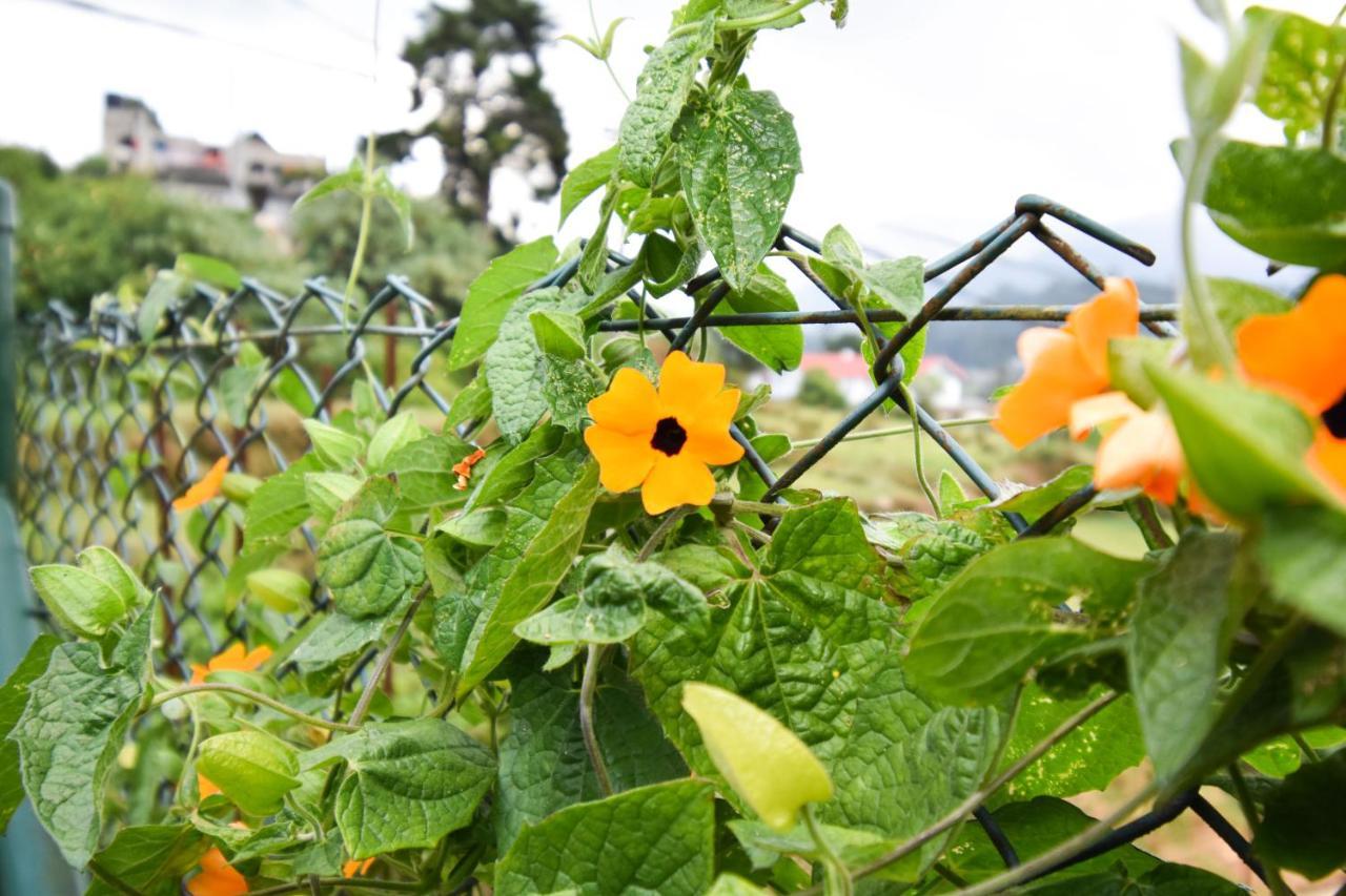 St. Anne Holiday Bunglow Nuwara Eliya Kültér fotó